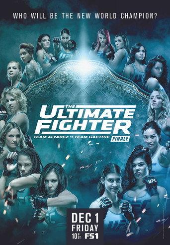 The Ultimate Fighter 26 Finale (2017) poster