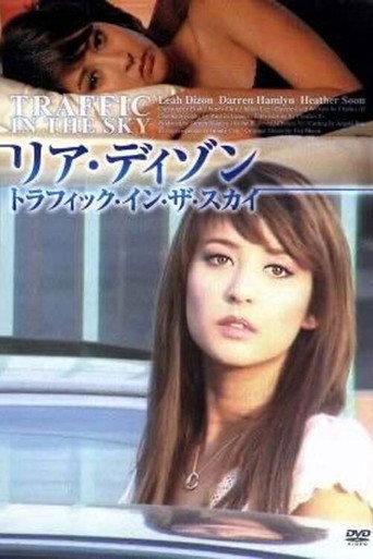 Traffic in the Sky (2007) poster