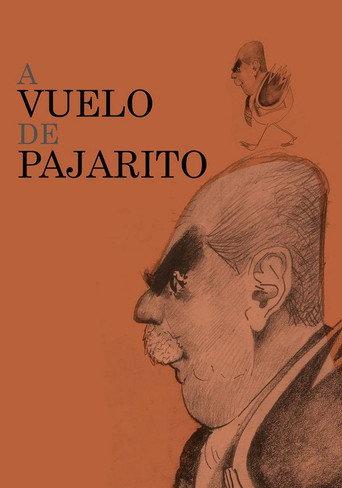 A vuelo de pajarito (2014) poster