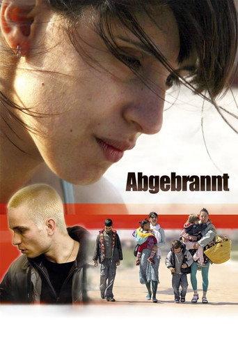 Burnout (2011) poster