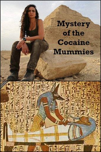 Mystery of the Cocaine Mummies (1996) poster