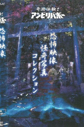 Kiseki Taiken! Anbiribabō: Kyōfu Eizō Kaiki Shashin Korekushon (1999) poster