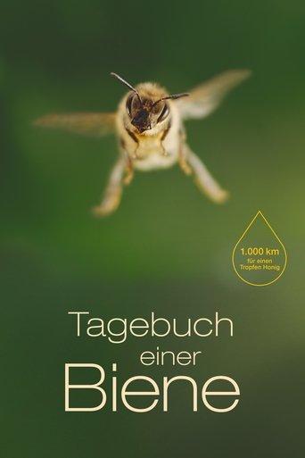 Diary of a Bee (2021) poster