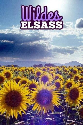 Wildes Elsass (2018) poster