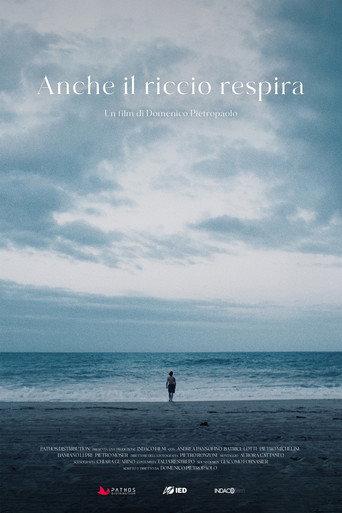 Anche il riccio respira () poster