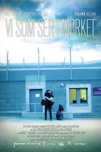 We See in the Dark (2014) poster