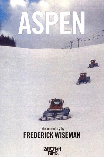 Aspen (1991) poster