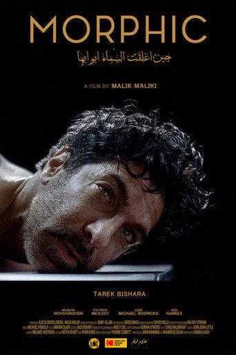 Morphic (2026) poster