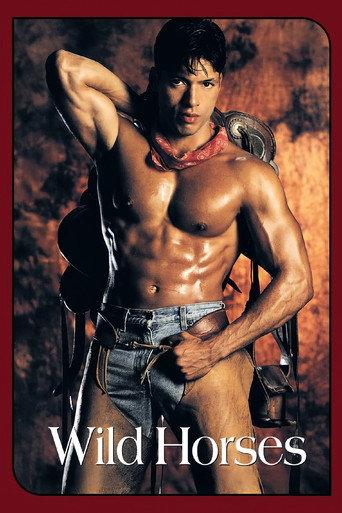 Wild Horses (1994) poster