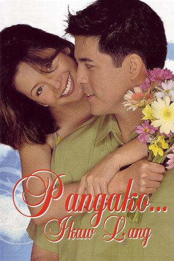 Promise... It's Only You (2001) poster