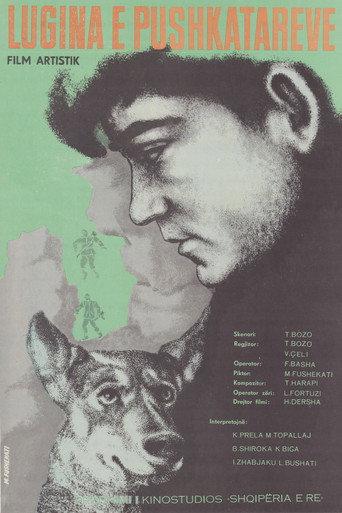 Valley of the Riflemen (1970) poster