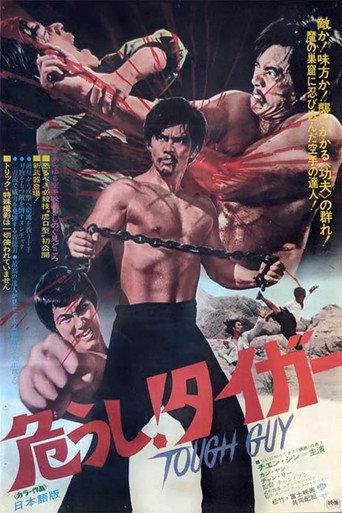 Revenge of the Dragon (1972) poster