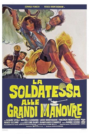 The Soldier with Great Maneuvers (1978) poster