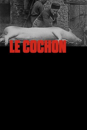 The Pig (1975) poster