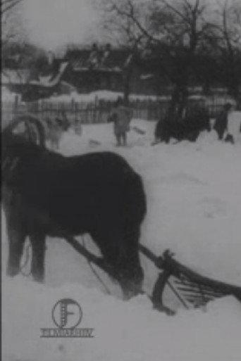 The Great Blizzard in the Baltics in December (1913) poster