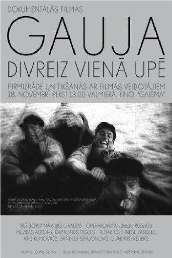 Gauja. Twice in the River (2013) poster