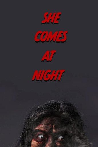 She Comes at Night () poster
