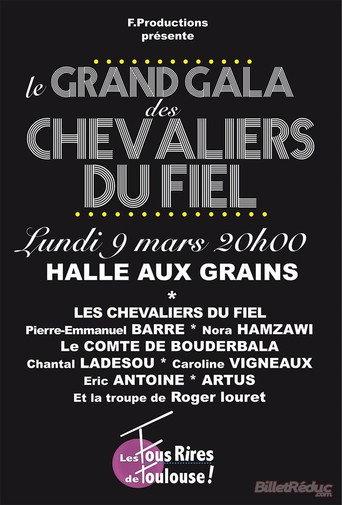 Le grand gala des Chevaliers du Fiel (2015) poster