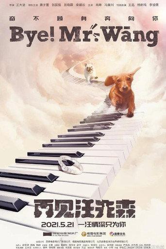 Bye, Mr Wang! (2021) poster