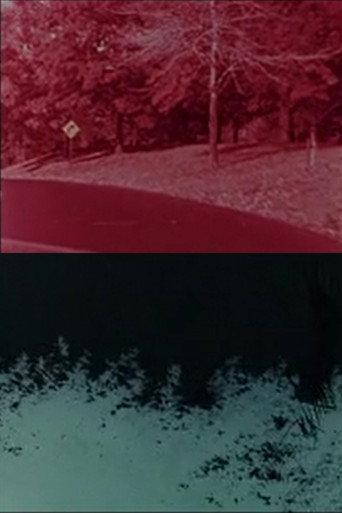 Instructions from Ancestors (2022) poster