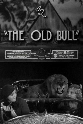 The Old Bull (1932) poster