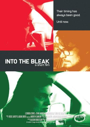 Into the Bleak (2020) poster