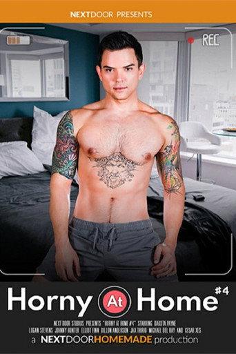 Horny at Home 4 (2023) poster