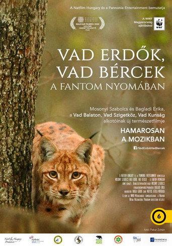 Wild forests, wild crags - In search of the phantom (2020) poster