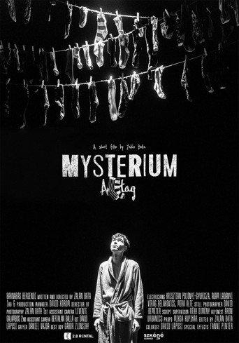 Mysterium Alltag (2024) poster