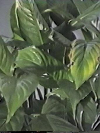 Table in September, or Part of an Incident (1987) poster
