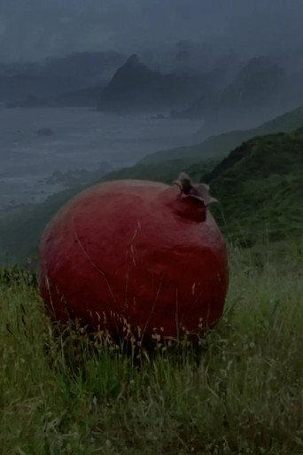 what does it feel like to live inside of a pomegranate? (2026) poster