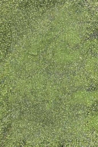 Duckweed (2021) poster