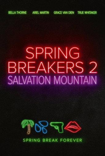 Spring Breakers: Salvation Mountain () poster