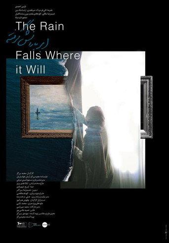The Rain Falls Where it Will (2020) poster