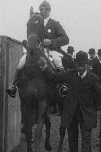 Aylesbury Hunt Steeplechases (1914) poster