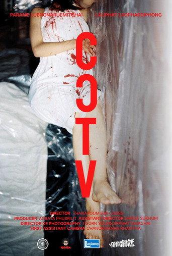 CCTV (2025) poster