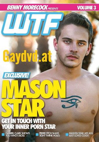 WTF 3: Mason Star (2012) poster