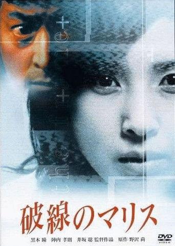 The Frame (2000) poster
