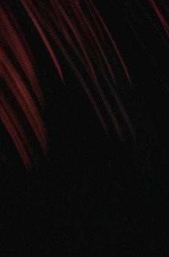 Midway (2008) poster