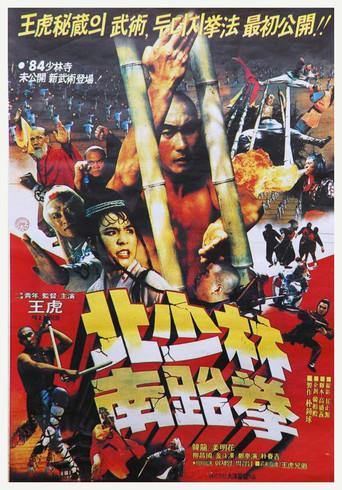 North Shaolin South Taekwon (1984) poster