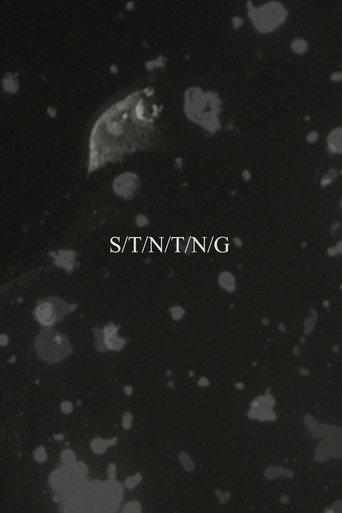 S/T/N/T/N/G () poster