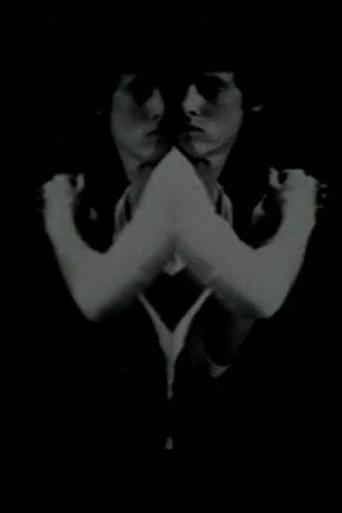 Environmental Symmetry (1978) poster