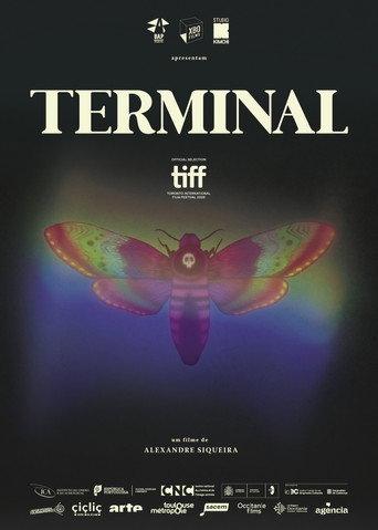 Terminal (2026) poster