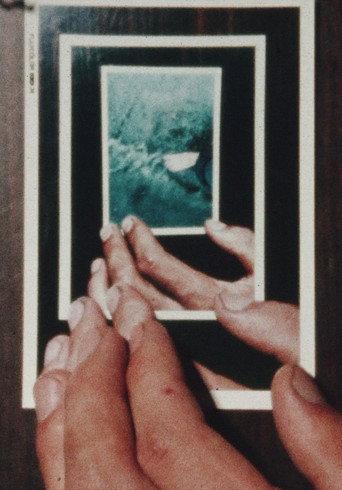 Dutchman’s Photographs (8mm) (1974) poster