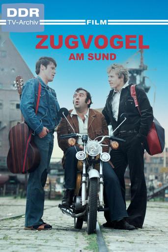 Zugvogel am Sund (1979) poster