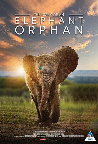 Diary of an Elephant Orphan (2025) poster