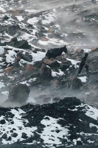 Afghan Coal (2018) poster
