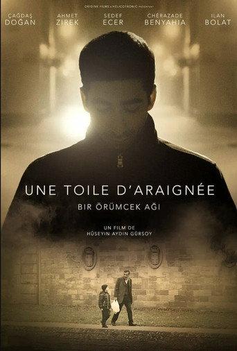 A spider’s web () poster