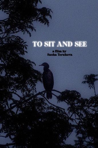 To Sit and See () poster