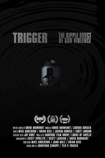 Trigger: The Ripple Effect of Gun Violence (2013) poster